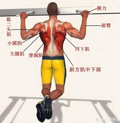 宝宝巴士3d游戏版大全
